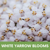 White Yarrow Seed Pouch