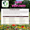 Midwest Native Wildflower Mix – photo 4