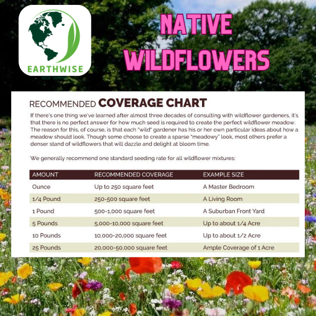 Midwest Native Wildflower Mix – photo 4
