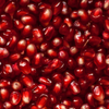 Pomegranate 'Wonderful' (Punica granatum)