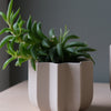 Wrap Planter - 4 sizes