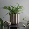 Wrap Planter - 4 sizes