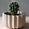 Wrap Planter - 4 sizes