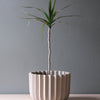 Wrap Planter - 4 sizes