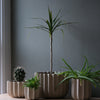 Wrap Planter - 4 sizes