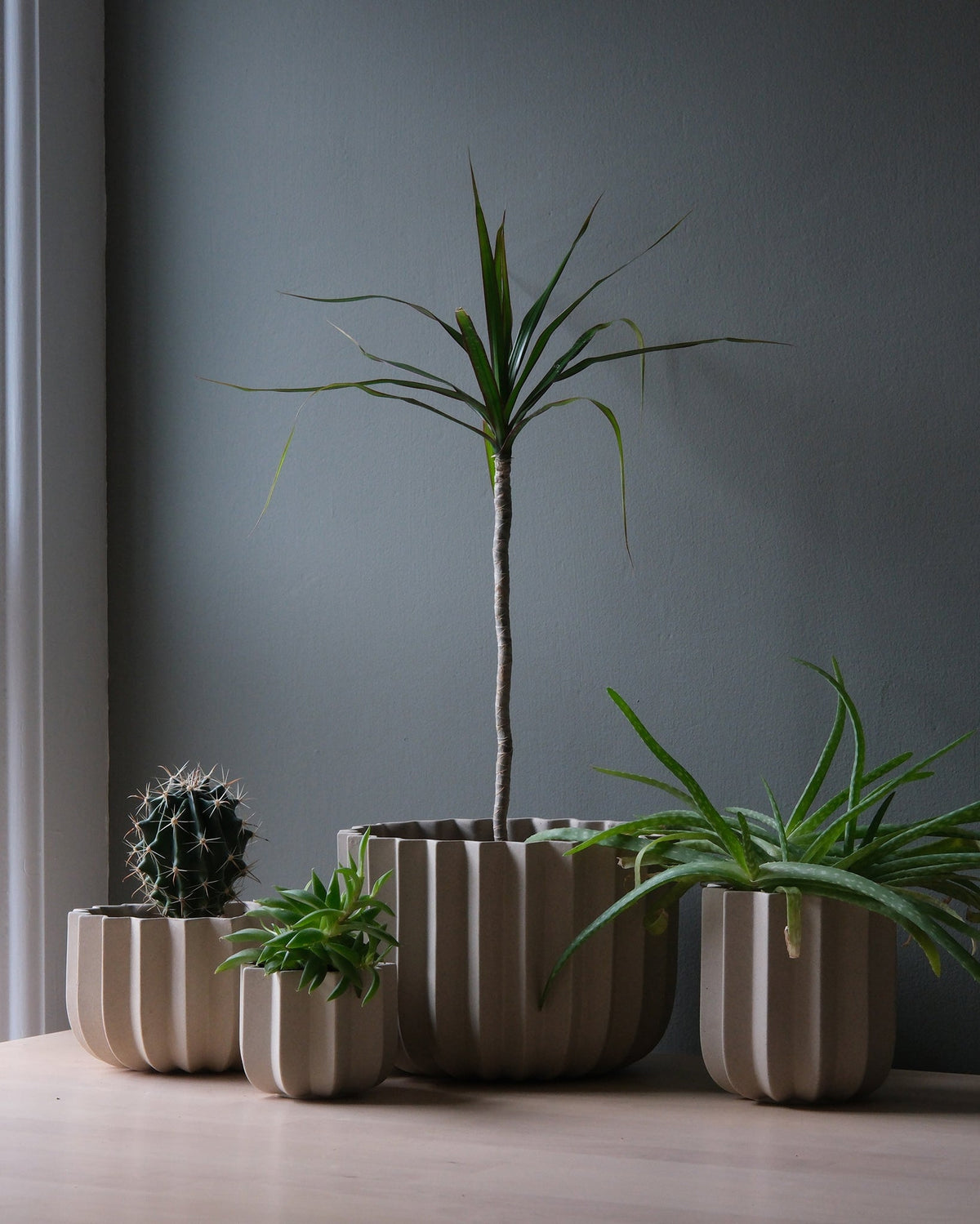 Wrap Planter - 4 sizes