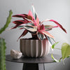 Wrap Planter - 4 sizes
