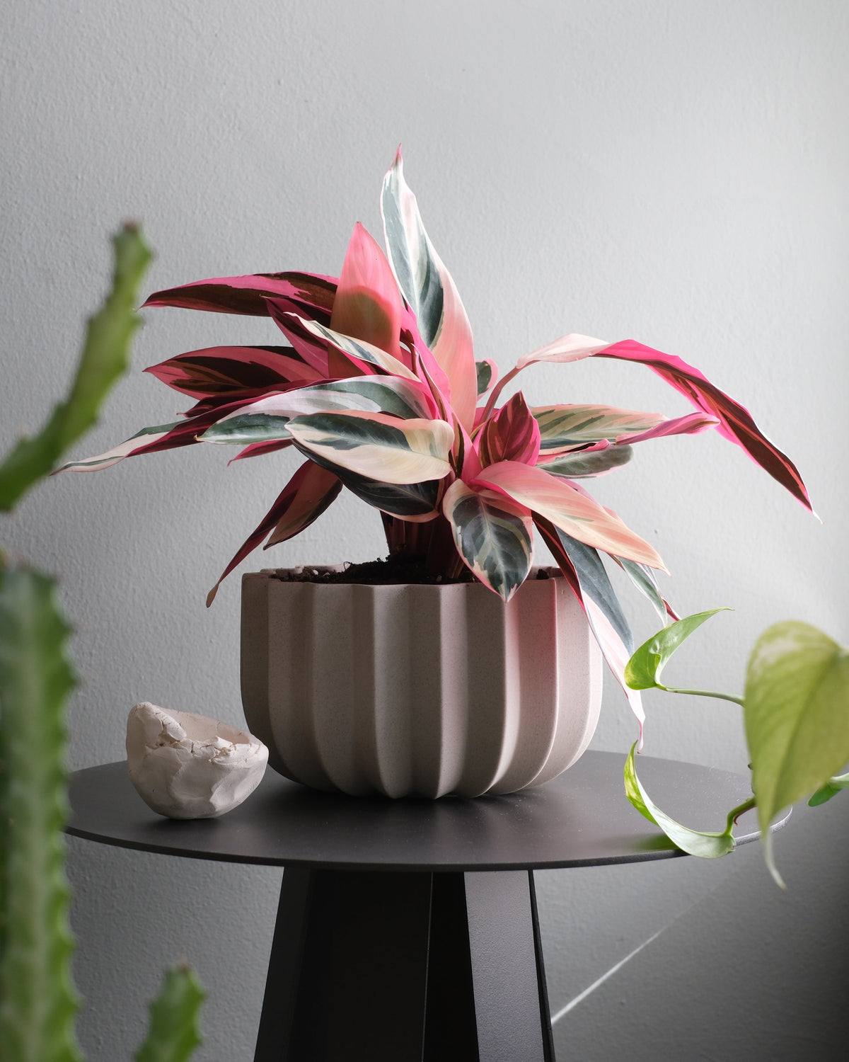 Wrap Planter - 4 sizes