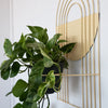 Arches Wall Planter