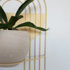 Arches Wall Planter
