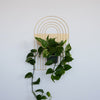 Arches Wall Planter