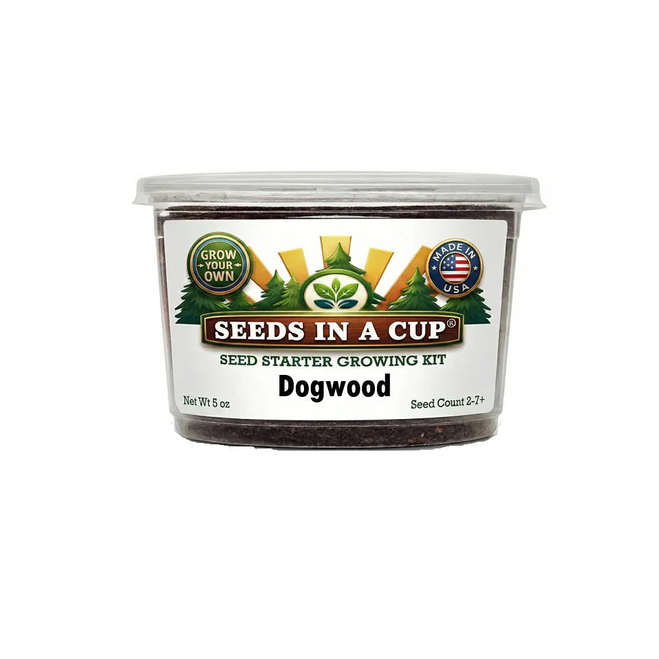 Dogwood Tree Grow Kit