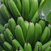 Banana 'Gran Nain' (Musa acuminata)