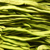 Romano Bush Bean Seeds – Italian Flat Green Pod Phaseolus Vulgaris Vegetable