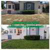 Ultimate Clover Lawn Mix: Low-Maintenance, Eco-Friendly Yard, MicroClover Lawn Seed – photo 5