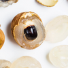 Longan, 'Biew Kiew' (Dimocarpus longan)