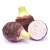 Taro 'Chinese Bun Long' (Colocasia esculenta)