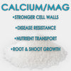 RAW Calcium/Mag | 15% Calcium + 3% Magnesium | Water-Soluble Supplement