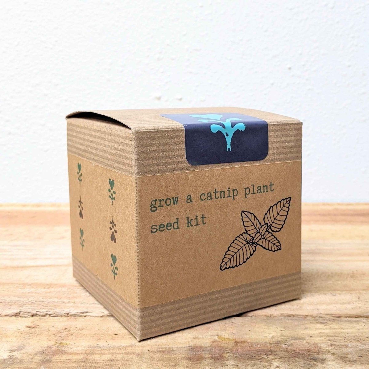 Catnip Beginner Grow Kit – photo 5