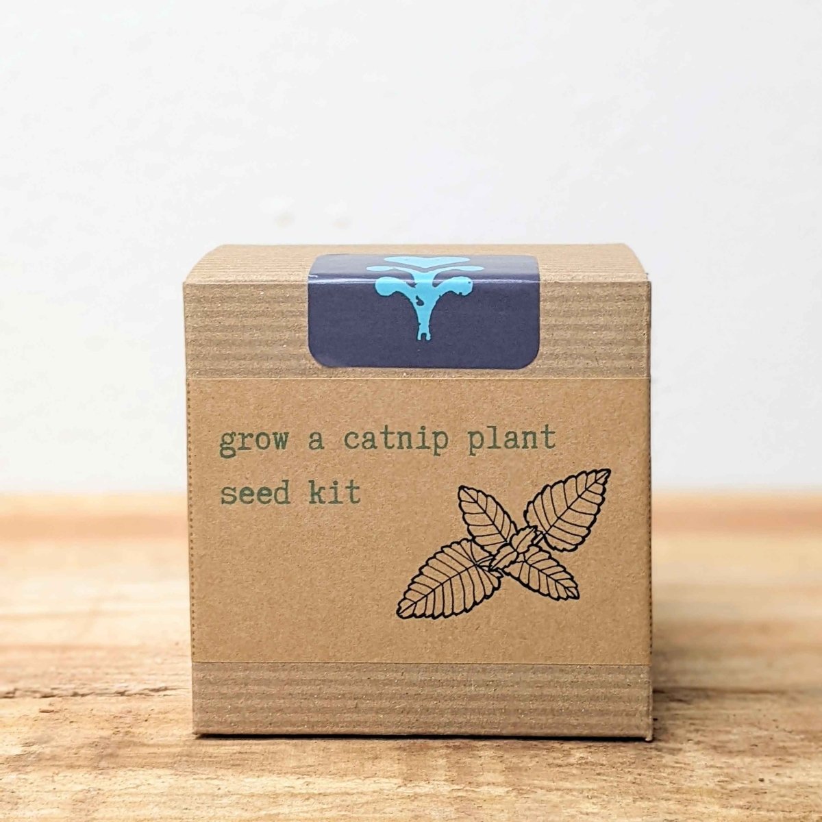 Catnip Beginner Grow Kit – photo 2