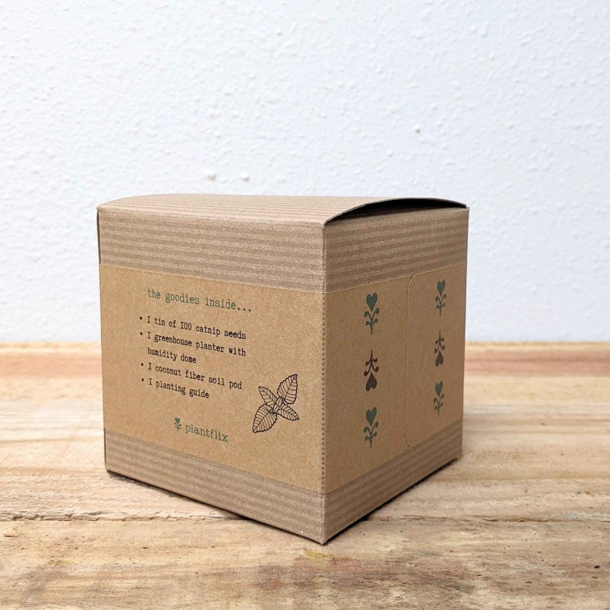 Catnip Beginner Grow Kit – photo 3