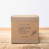 Catnip Beginner Grow Kit – photo 4