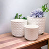 Ceramic Webbing Pattern Planters Embossed Cane Cement Pots Small Medium Large