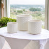Ceramic Webbing Pattern Planters Embossed Cane Cement Pots Small Medium Large