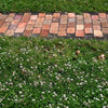 Low Grow No-Mow Lawn Mix – Clover & Low-Maintenance Grass Alternative – photo 7