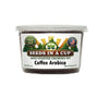 Coffee Arabica Tree Grow Kit
