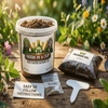 Pistachio Tree Grow Kit