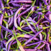 100 MIXED CAYENNE PEPPER Hot Yellow Purple Orange Red Green Capsicum Vegetable Seeds