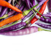 100 MIXED CAYENNE PEPPER Hot Yellow Purple Orange Red Green Capsicum Vegetable Seeds
