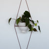 Diamond Eye Wall Planter