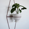 Diamond Eye Wall Planter