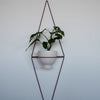 Diamond Eye Wall Planter
