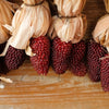 150 Red STRAWBERRY POPCORN CORN Zea Mays Vegetable Seeds