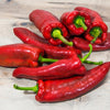60 RED MARCONI PEPPER Rossa Large Sweet Italian Frying Capsicum Annuum Seeds
