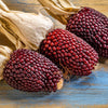 150 Red STRAWBERRY POPCORN CORN Zea Mays Vegetable Seeds