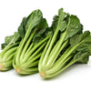 1000 TATSOI Brassica Rapa Rosularis Tat Soi Bok Choy Spinach Mustard Vegetable Seeds
