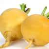 1000 GOLDEN BALL TURNIP Heirloom Yellow Brassica Rapa Root Vegetable Seeds