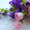 Mixed Colors Cup & Saucer (Canterbury Bells) Campanula Medium Flower Seeds – photo 10
