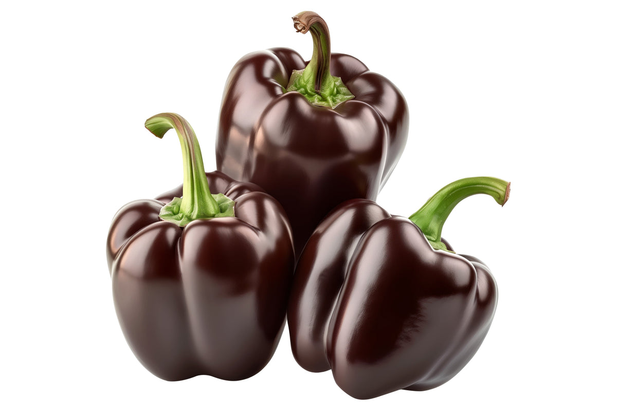 Chocolate Beauty Bell Pepper Sweet Brown Capsicum Annuum Vegetable Seeds – photo 5