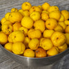Red Flowering Dwarf Quince Seeds – Shrub Fruit Chaenomeles Japonica Scarlet – photo 5