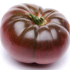 100 Organic PURPLE CHEROKEE TOMATO Lycopersicon Lycopersicum Fruit Vegetable Seeds