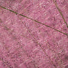 Purple Lovegrass Seeds – Eragrostis Spectabilis Native Love Grass Flower – photo 3