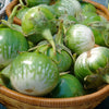10 KERMIT EGGPLANT Green White Thai Solanum Melongena Fruit Vegetable Seeds