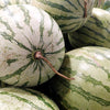 Dixie Queen Watermelon Seeds (Citrullus lanatus)
