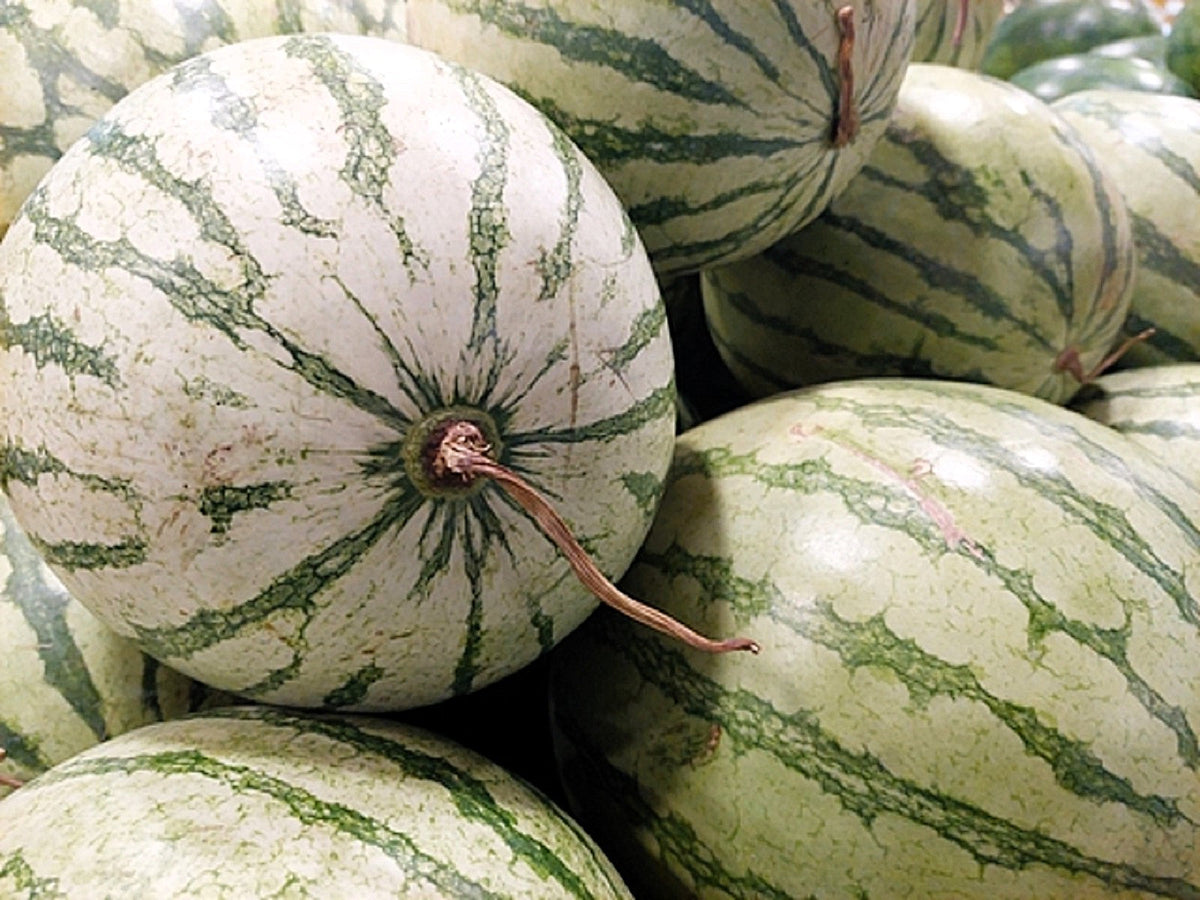 Dixie Queen Watermelon Seeds (Citrullus lanatus)