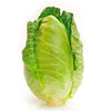 Charleston Wakefield Cabbage Seeds – Heirloom Cone Brassica Oleracea Vegetable